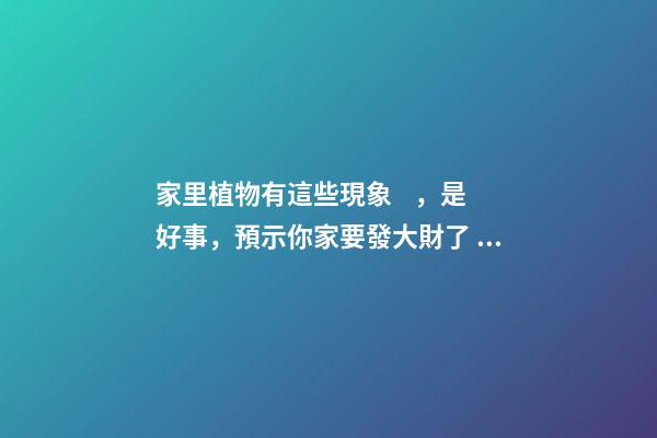 家里植物有這些現象，是好事，預示你家要發大財了！